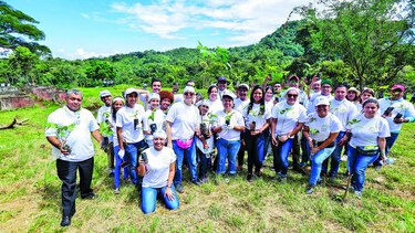 C&WP celebra el día nacional de la reforestación