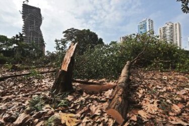 Adiós al ‘pulmón’ de Obarrio