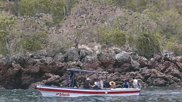 Alcalde de Taboga no fue autorizado a vender Boná