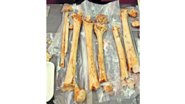 Huellas del pasado en Cerro Juan Díaz