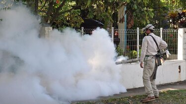 Fallece una persona por virus hanta en Los Santos