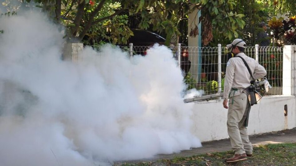 Fallece una persona por virus hanta en Los Santos