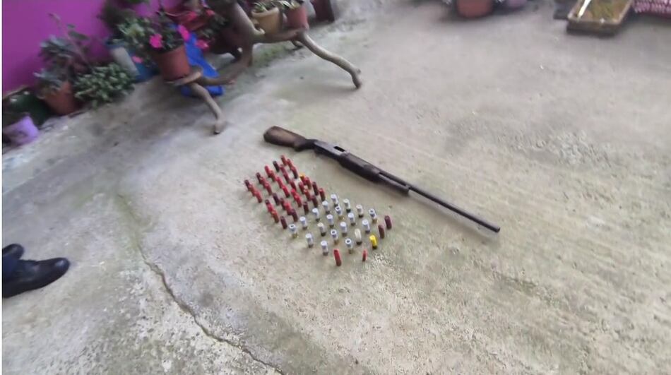 Continúan operativos para dar con responsables de la caza ilegal de un tapir en el PILA