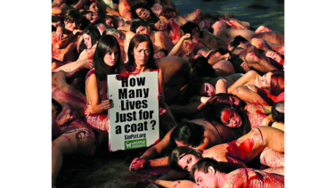 Decena de activistas protestan desnudos