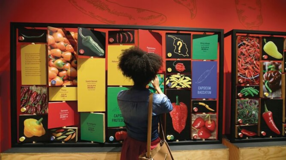 Una historia con sabor y picante