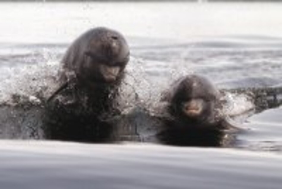 Imágenes Bocas, el archipiélago de contrastes