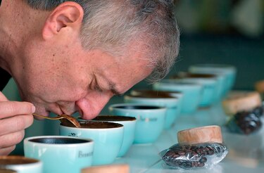 Café geisha, el exótico y carísimo lujo panameño