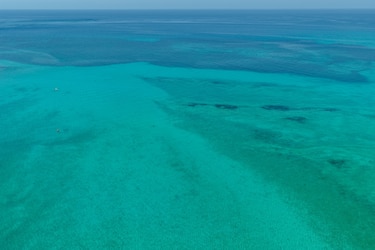 ¿Cómo suena el Pacífico panameño? Científicos monitorean el ruido que afecta a las ballenas