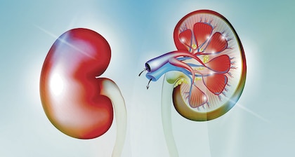 El mal de los riñones