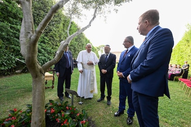 El papa Francisco reclama un alto el fuego en Gaza y pide trabajar por una ‘paz duradera’
