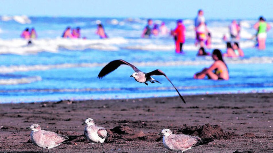 Coclé y Chiriquí, los destinos de fiestas patrias