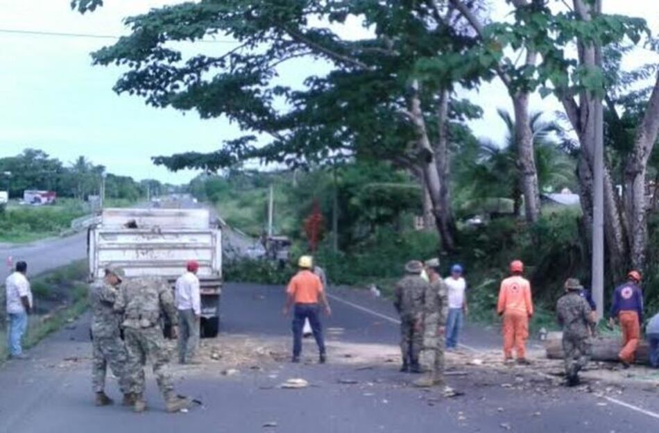 En Bugaba podan árboles a orillas de la Interamericana ante inicio de las lluvias