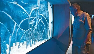 El Biomuseo crece y sigue su renovación