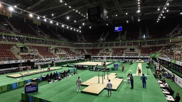 COI: Crisis política de Brasil no afectará Juegos Olímpicos