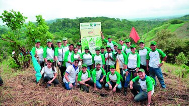 Voluntarios Barú Panamá siembran mil plantones