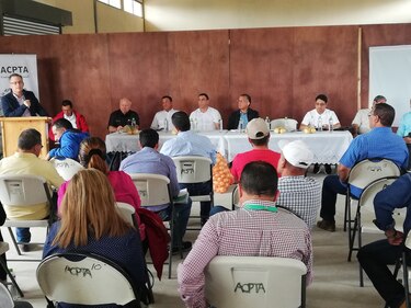 Gobierno se compromete a retirar cebolla vencida y que no cumple las medidas sanitarias