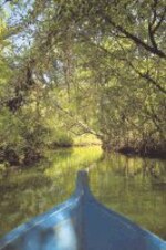 Las dos caras de Bastimentos