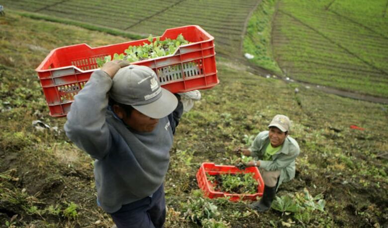 Las cifras que marcaron el final del BDA: 500 millones asignados y tres años en rojo
