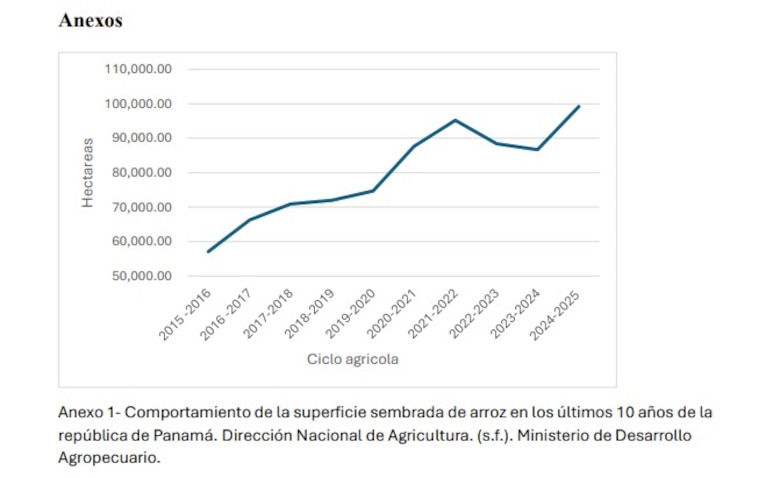 Crisis del arroz en Panamá: productores advierten pérdidas, Mulino confirma fin del subsidio y el IMA recurre a importaciones