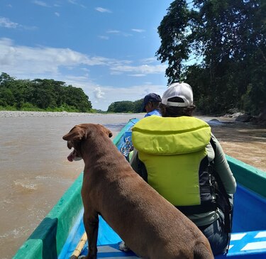 Macizo Colombiano: Un viaje entre paisajes imponentes, historia ancestral y cielos estrellados