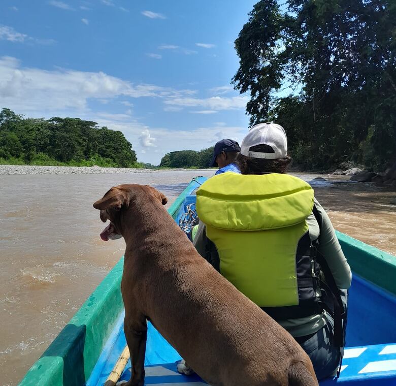 Macizo Colombiano: Un viaje entre paisajes imponentes, historia ancestral y cielos estrellados