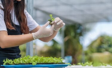 UniBank y el eco.business Fund refuerzan su apoyo a los sectores agropecuario y agroindustrial en Panamá, con una inversión de 15 millones de dólares