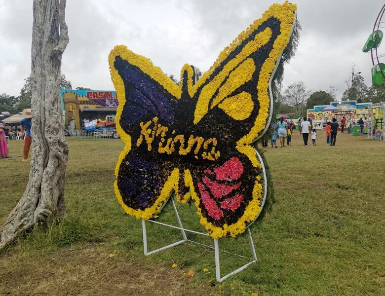 Llegadas de visitantes internacionales alcanzaron los 1.33 millones en primer semestre