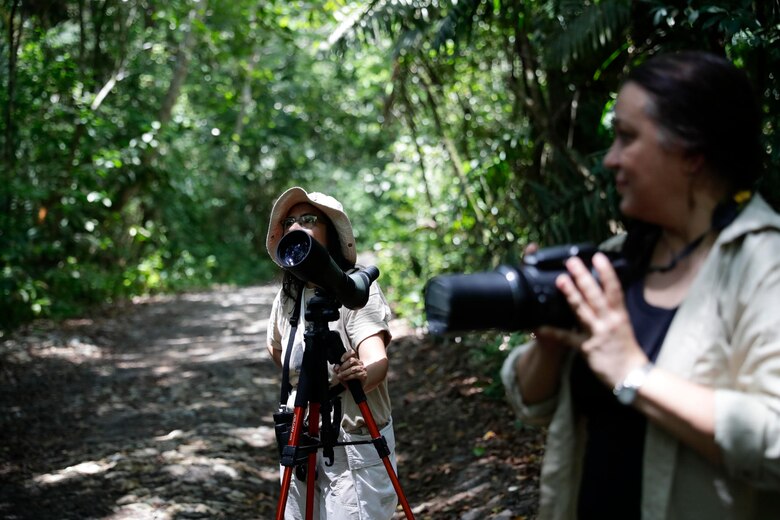 Observadores de aves se despliegan por Panamá en el Global Big Day 2024