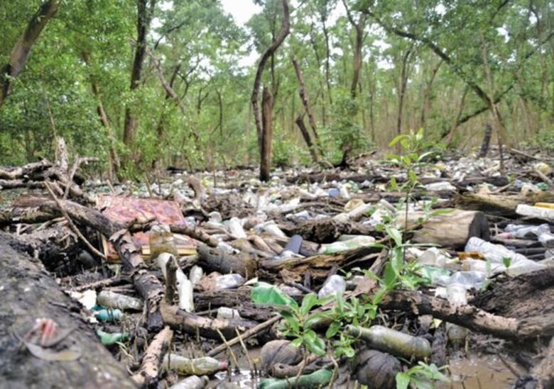 Mangles surfean el desecho