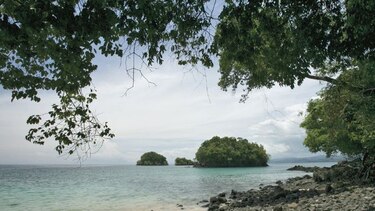 CIAM demanda acuerdo sobre Coiba