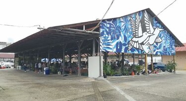 Un mercado para todos