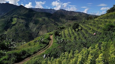 Qué significa que Estados Unidos retire a Colombia la certificación en la lucha contra el narcotráfico