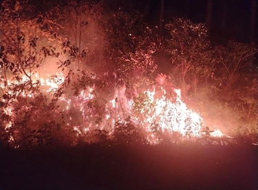 Incendio consume la reserva forestal La Yeguada: más de 100 hectáreas afectadas y una fiscalía abre investigación