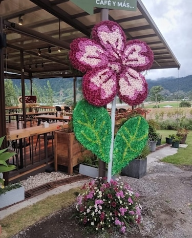 Flores, cultura y tradición: Tierras Altas celebra su Novena Parada