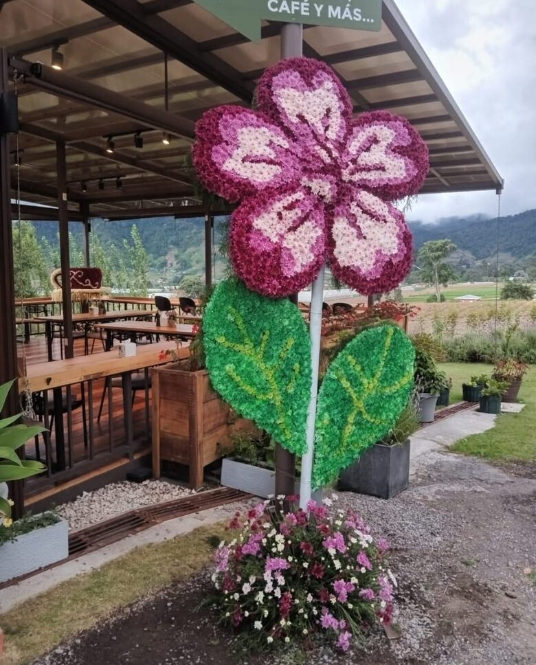 Flores, cultura y tradición: Tierras Altas celebra su Novena Parada