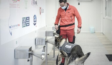 Francia usa perros para detectar la Covid a través de la transpiración 