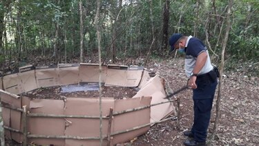 En Chiriquí hay 2,311 casos activos de Covid-19; el fin de semana desmantelaron una gallera clandestina y retuvieron a varias personas