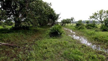 Tras las huellas del pasado en Chinina