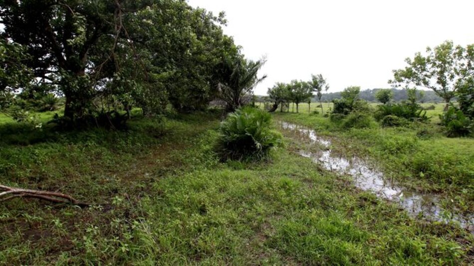 Tras las huellas del pasado en Chinina