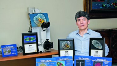 Una mirada microscópica