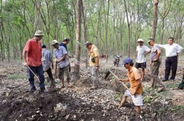 Veterano de guerra busca paz