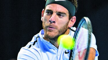 Del Potro y Federer se topan en la final