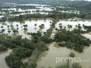 Técnicos del Mida evalúan las pérdidas en el sector agropecuario