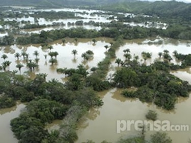 Técnicos del Mida evalúan las pérdidas en el sector agropecuario