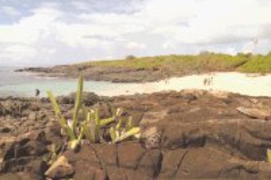 Con la aventura por bandera