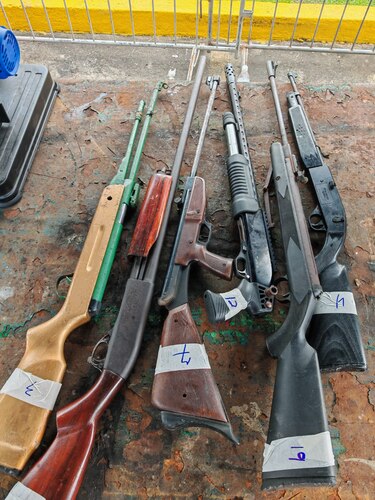 Programa Armas por Comida retira 56 armas y 2,900 municiones en San Miguelito