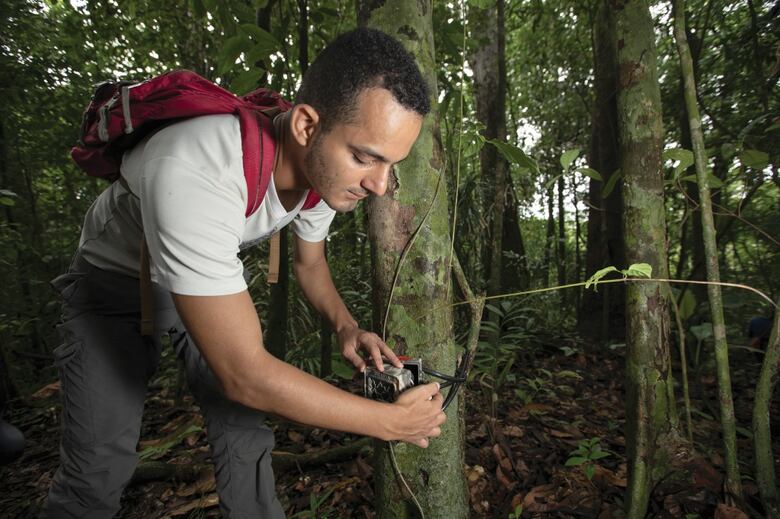El bosque, en el aula de clases