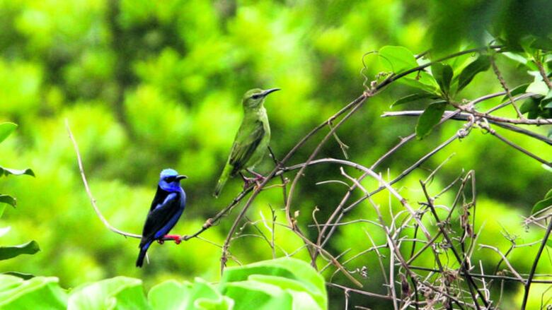 Desde lo alto del cerro
