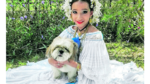 El amigable Coco