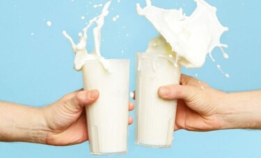 Programa creado en Chile elabora leche y mayonesa con vegetales sin perder sabor original